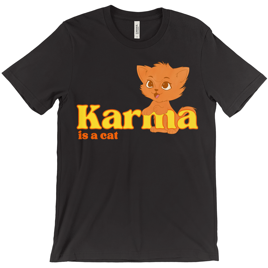 Karma is a cat T-Shirt, Taylor Swift Shirt, Karma shirt